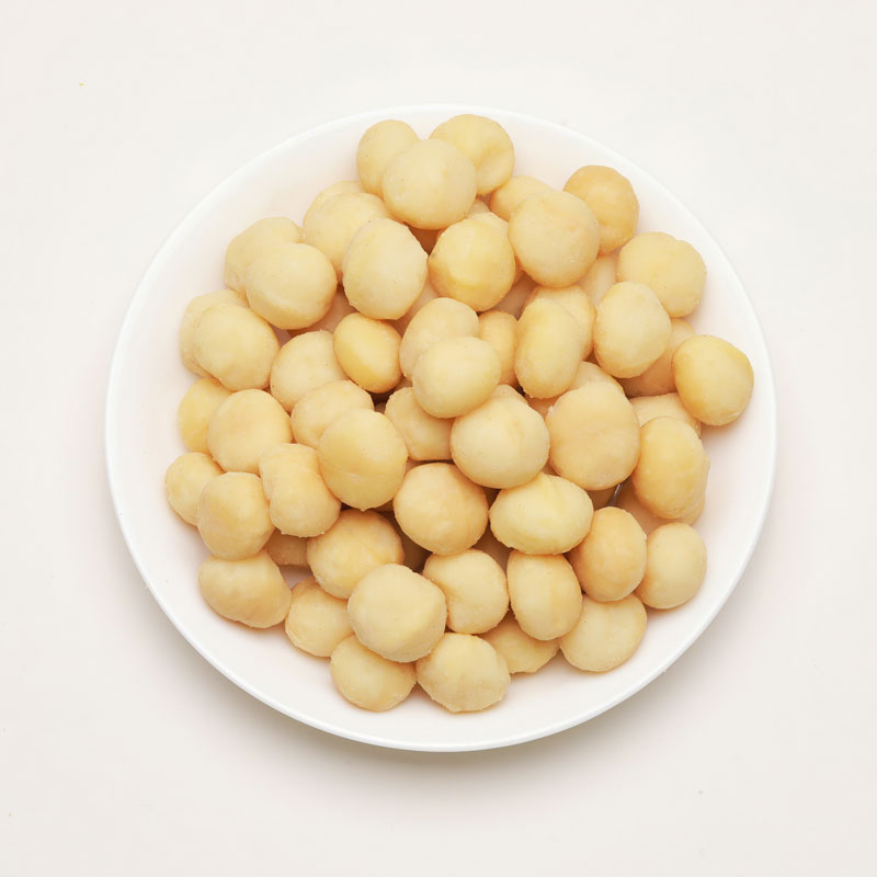 夏威夷果的概况介绍